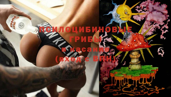 PSILOCYBIN Алексеевка