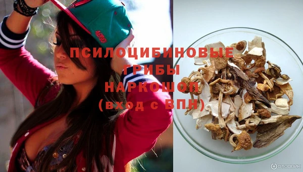 PSILOCYBIN Алексеевка