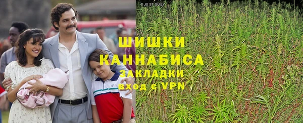 PSILOCYBIN Алексеевка