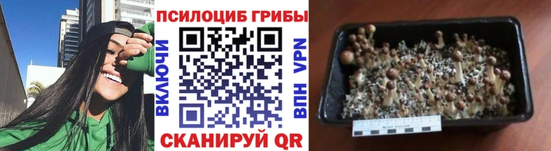 Псилоцибиновые грибы мухоморы Уяр